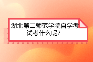 湖北第二师范学院自学考试考什么?